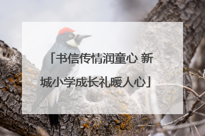 书信传情润童心 新城小学成长礼暖人心